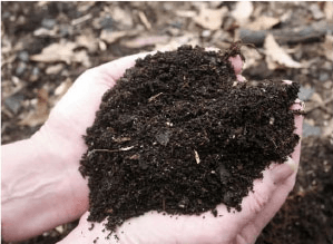 Compost