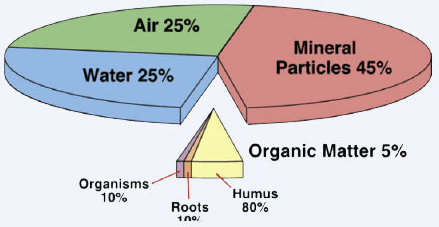 Rich Soil photo