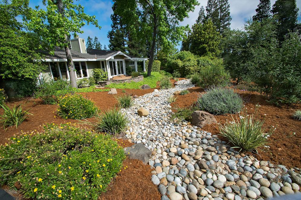 Wide River Rock Path