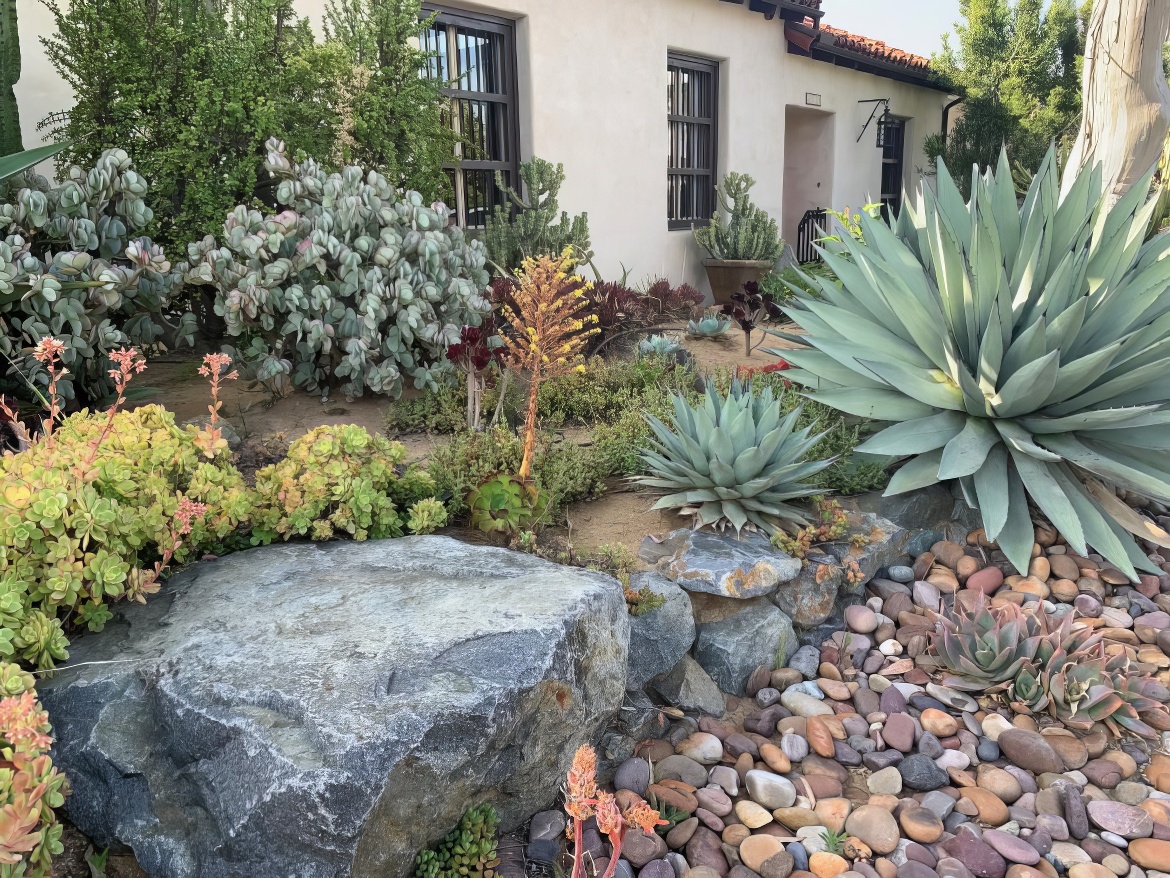 Hacienda Front Yard