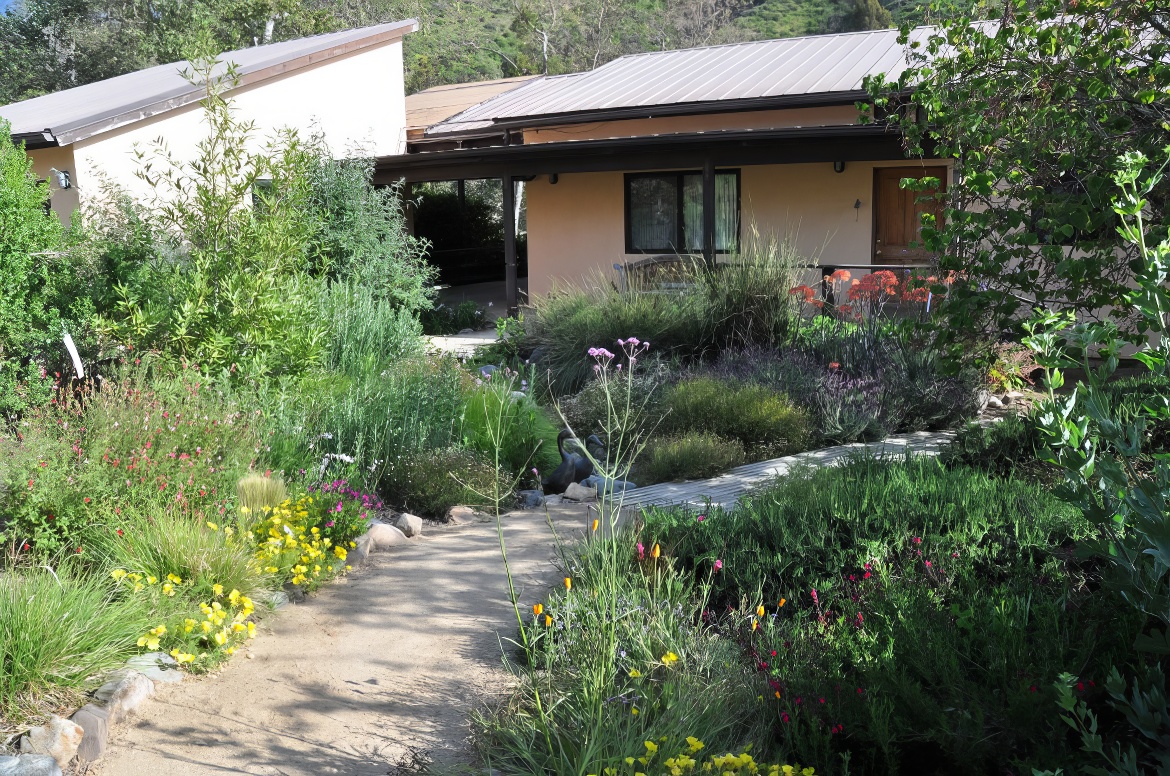 Lovely Entry Walk