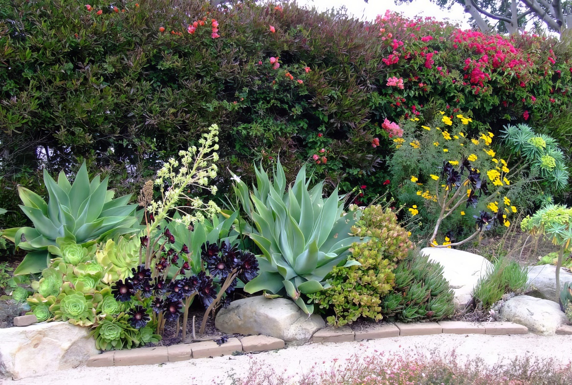 Delightful Garden Border